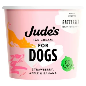 Jude's Ice Cream - For Dogs - Strawberry