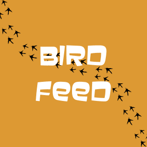 Bird Feed