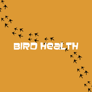 Bird Health