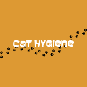 Cat Hygiene