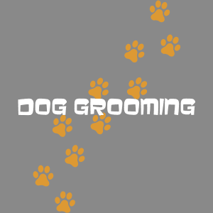 Dog Grooming