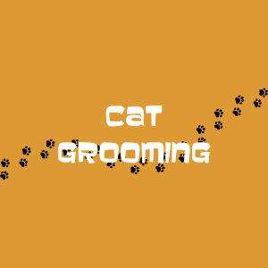 Cat Grooming