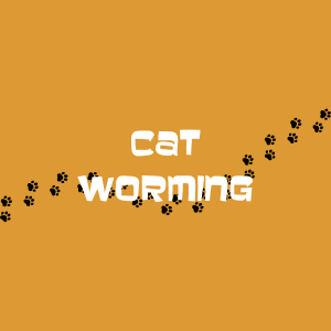 Cat Worming