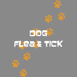 Dog Flea & Tick