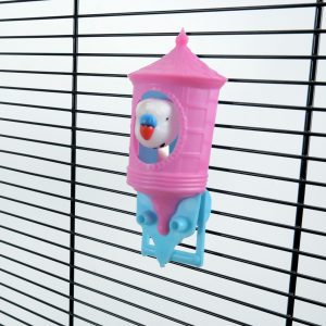 Peek a Boo Bird in House