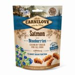 Carnilove - Salmon & Blueberries