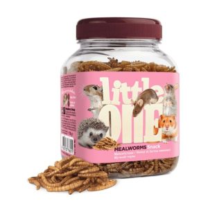Little One - Mealworms