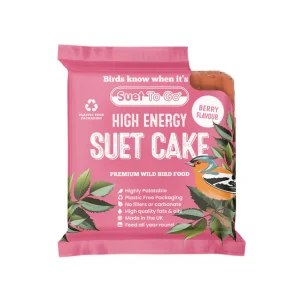 Suet To Go - Suet Cake Berry